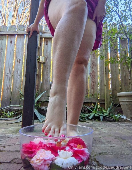 goddessaudreypine pornografische pornostar galerien