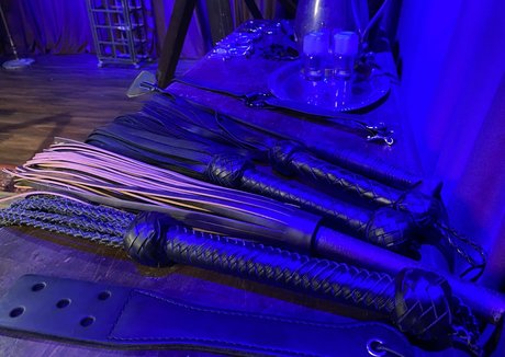 cherrytorn erwachsene top bild