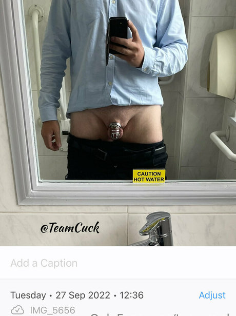 teamcuck pornostar heiße bild