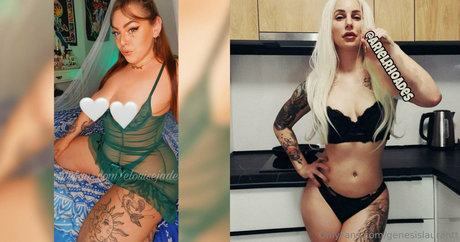 genesislaurantt perfekte hd fotos