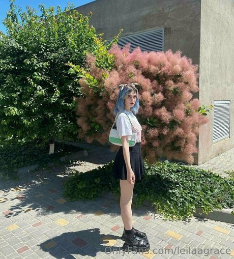 leilaagrace hübsche sexy galerie