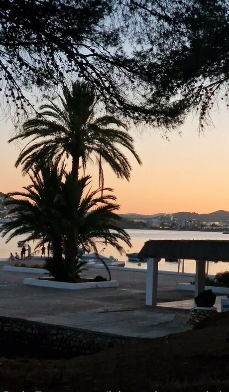 blooming x daisy erwachsene akt galerien