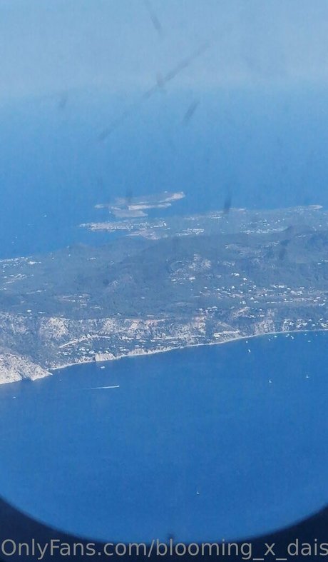 blooming x daisy exklusive xxx galerien