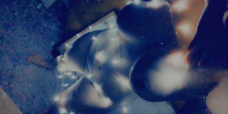 lovelola1463 nacktheit pornographische galerie