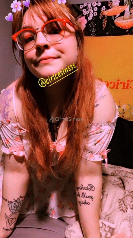 ciricesinssfw hd freie foto