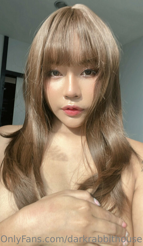 Darkrabbithouse perfekte kunst galerien