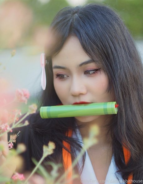 Darkrabbithouse sexy hd bild