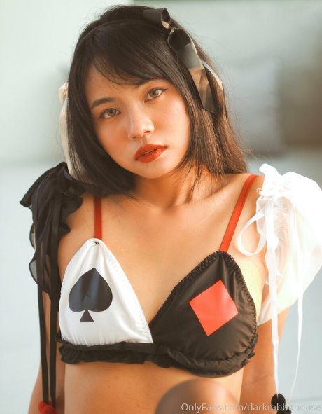 Darkrabbithouse Profilbild