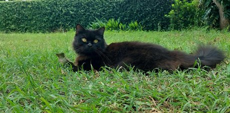 avilinax heiße schöne galerien