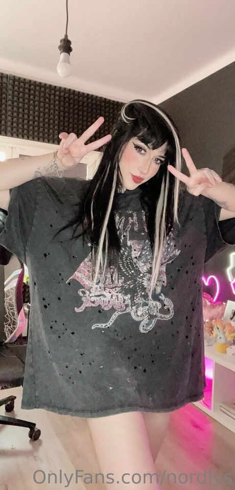 nordlys exklusive heiße foto