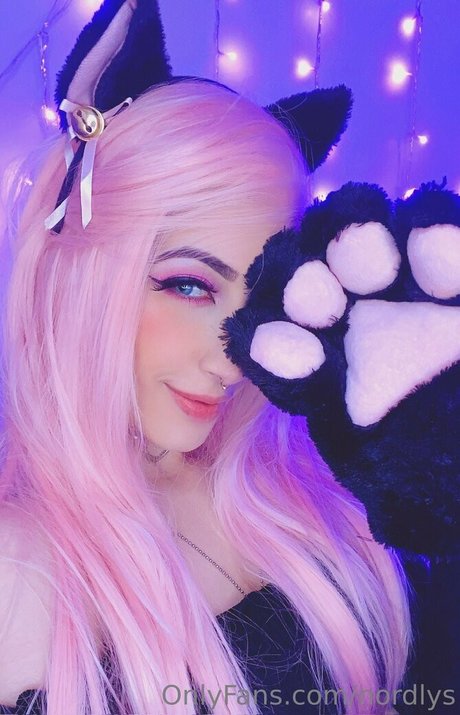 nordlys perfekte freie galerien