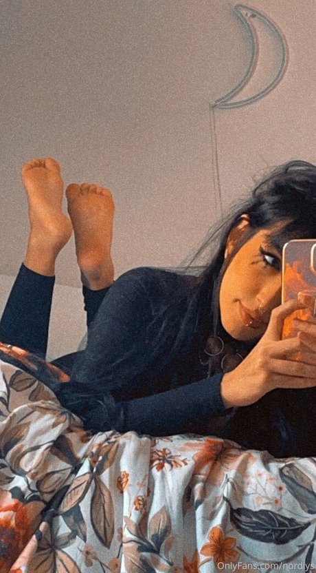 nordlys hübsche erotische archiv