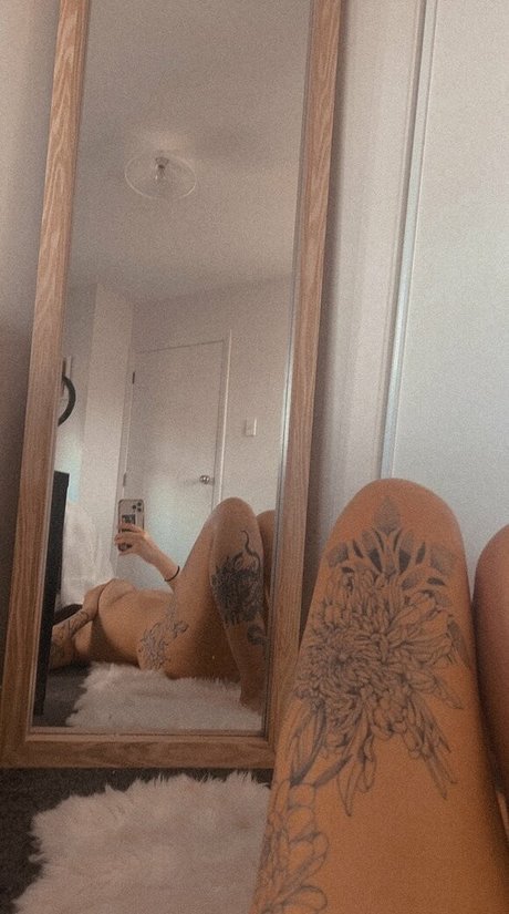 elmo 2301 hd kunst bilder