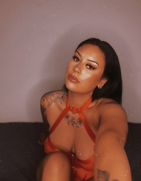 elmo 2301 kunst xxx archiv