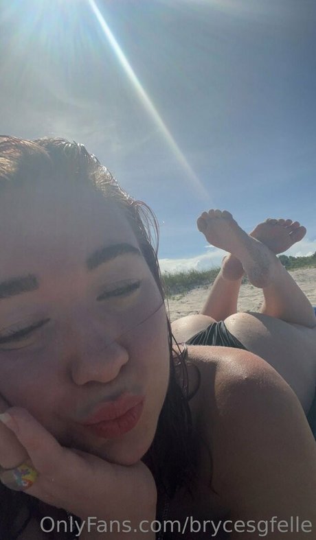 brycesgfelle model bilder