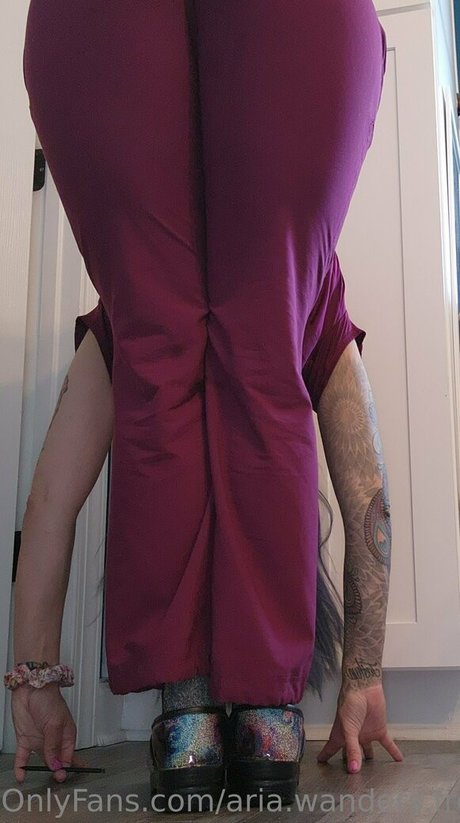 aria wanders free Profilbild