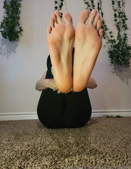 ebenholz-zwerg nur fans perfekte schöne bild