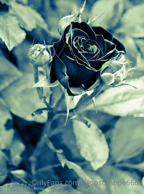 mydarkside6666 top freie archiv