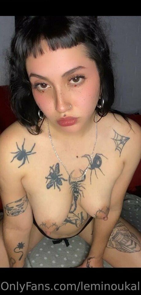 leminoukali hd freie bilder