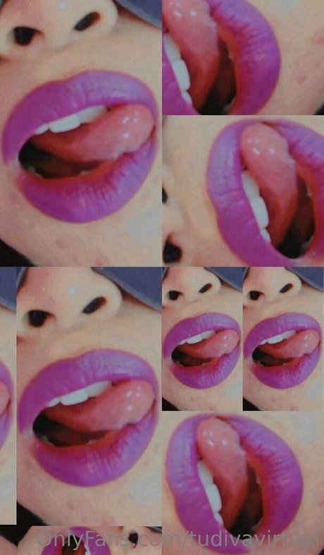 santadesordenaa nette galerien