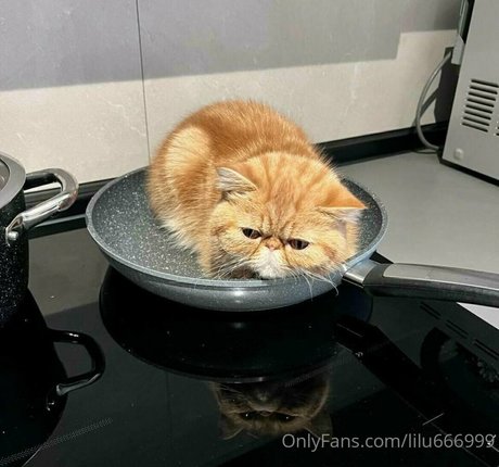 lilu666999 erwachsene porno fotos