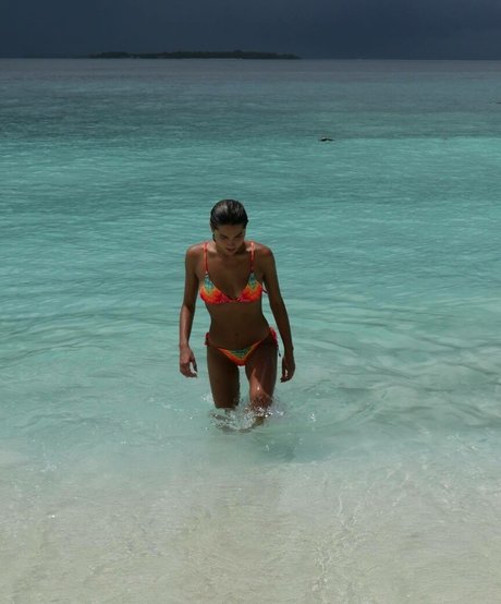 Sasha Meneghel Bilder