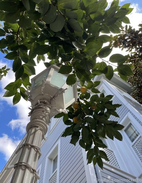 rocket bb schauspielerin nacktheit galerie