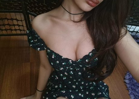 Nirvy perfekte archiv