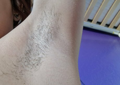 Nirvy schöne freie archiv