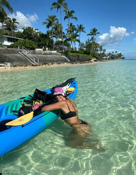 shangerdanger Profilbild