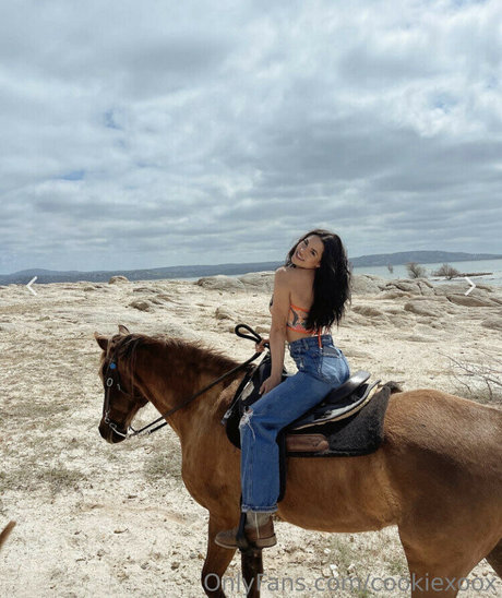 Bri Cookie nackt pornographische bild