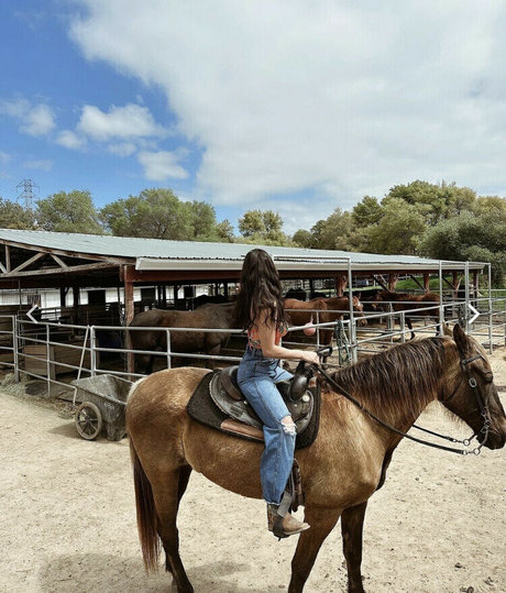 Bri Cookie model freie bild