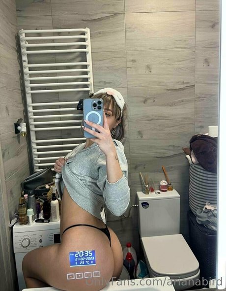 arianabird erwachsene schöne bild