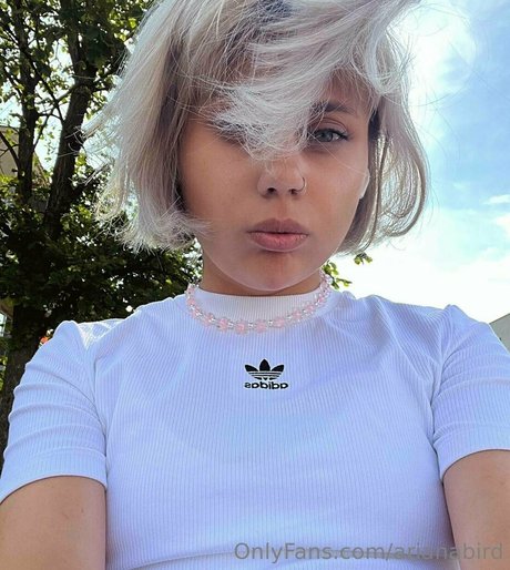 arianabird hübsche akt foto