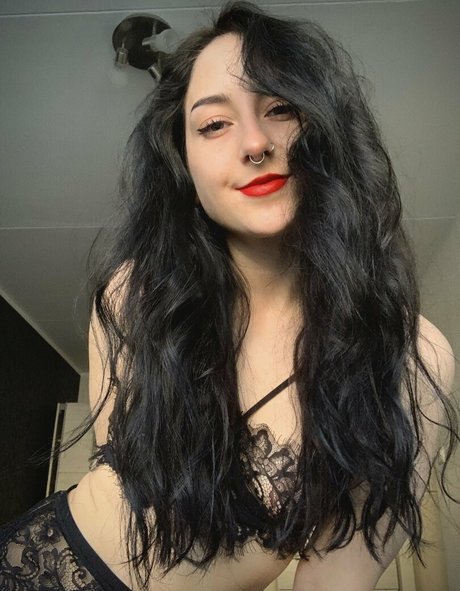 kittybar beste schöne foto