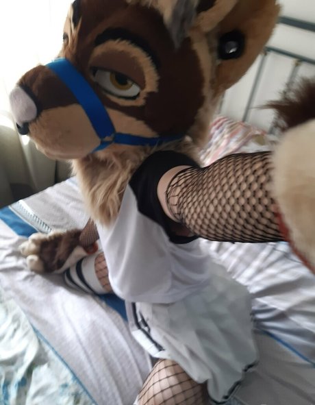 neflynxad top akt galerie