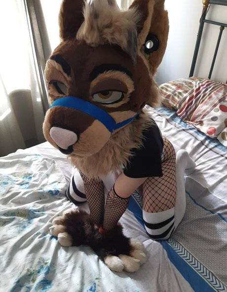 neflynxad exklusive freie galerie