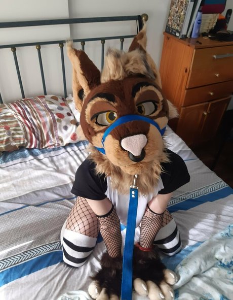 neflynxad hübsche sex foto