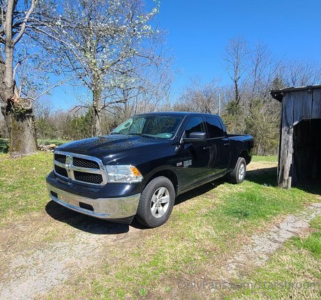 starshroom porno nackten fotos