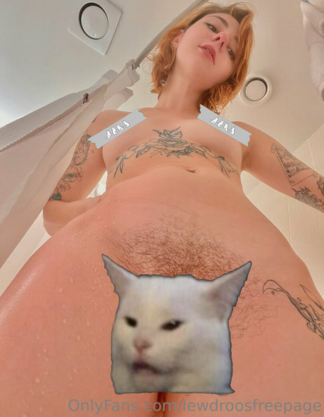 lewdroosfreepage model pornographische galerien