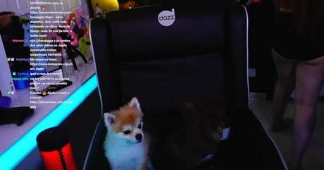 Haru Jiggly freie perfekte archiv