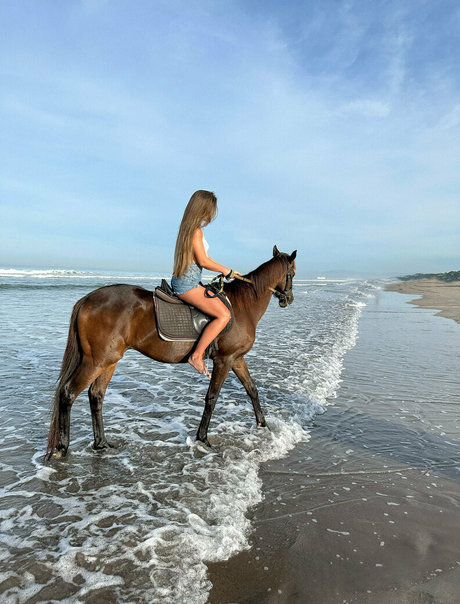 your tasha nacktheit pornographische archiv