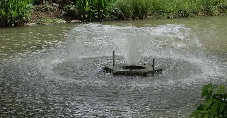 AsianSexDiary hübsche porno foto