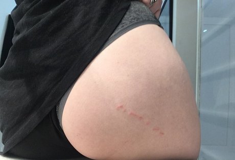 Carrenopol hübsche sexy foto