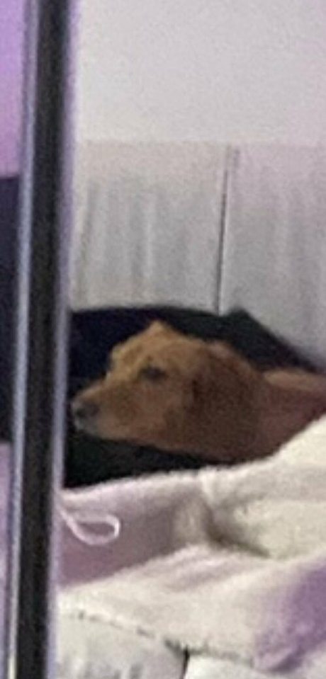 theoliviadavis porno schöne bilder