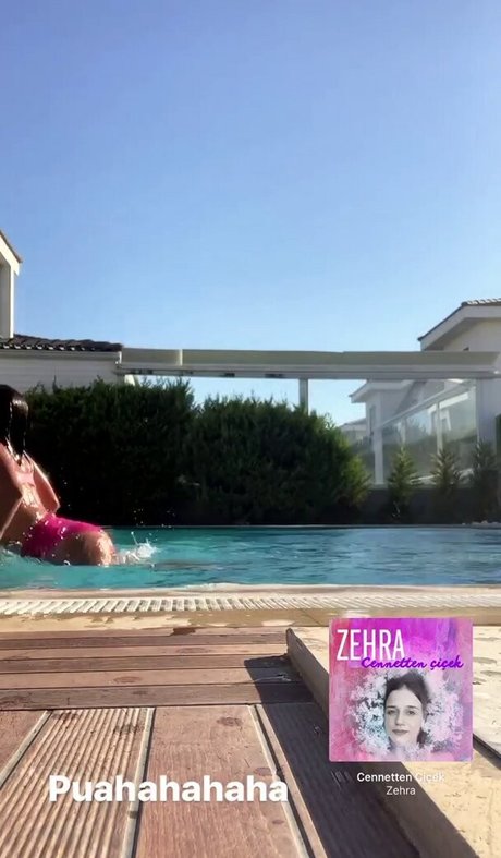 große arschmuschi nur fans erotische beste bild