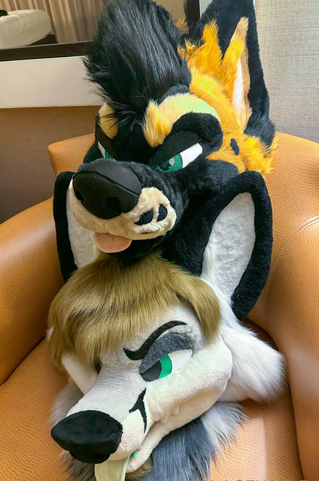 palacewolf xxx nackten galerien