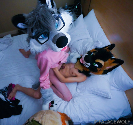 palacewolf kostenlose hübsche fotos