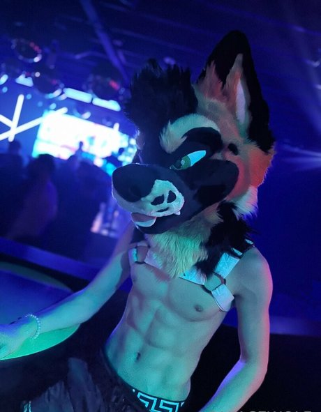 palacewolf sexy bilder