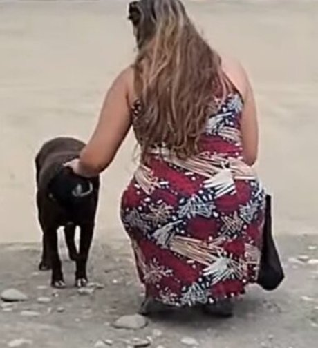 Thais Nakaguma schauspielerin xxx galerie